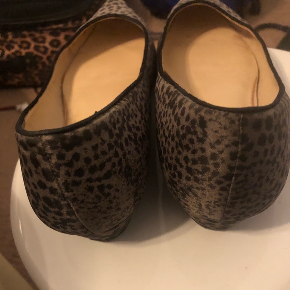 🔥Talbots Animal Print Flats - Picture 2 of 5